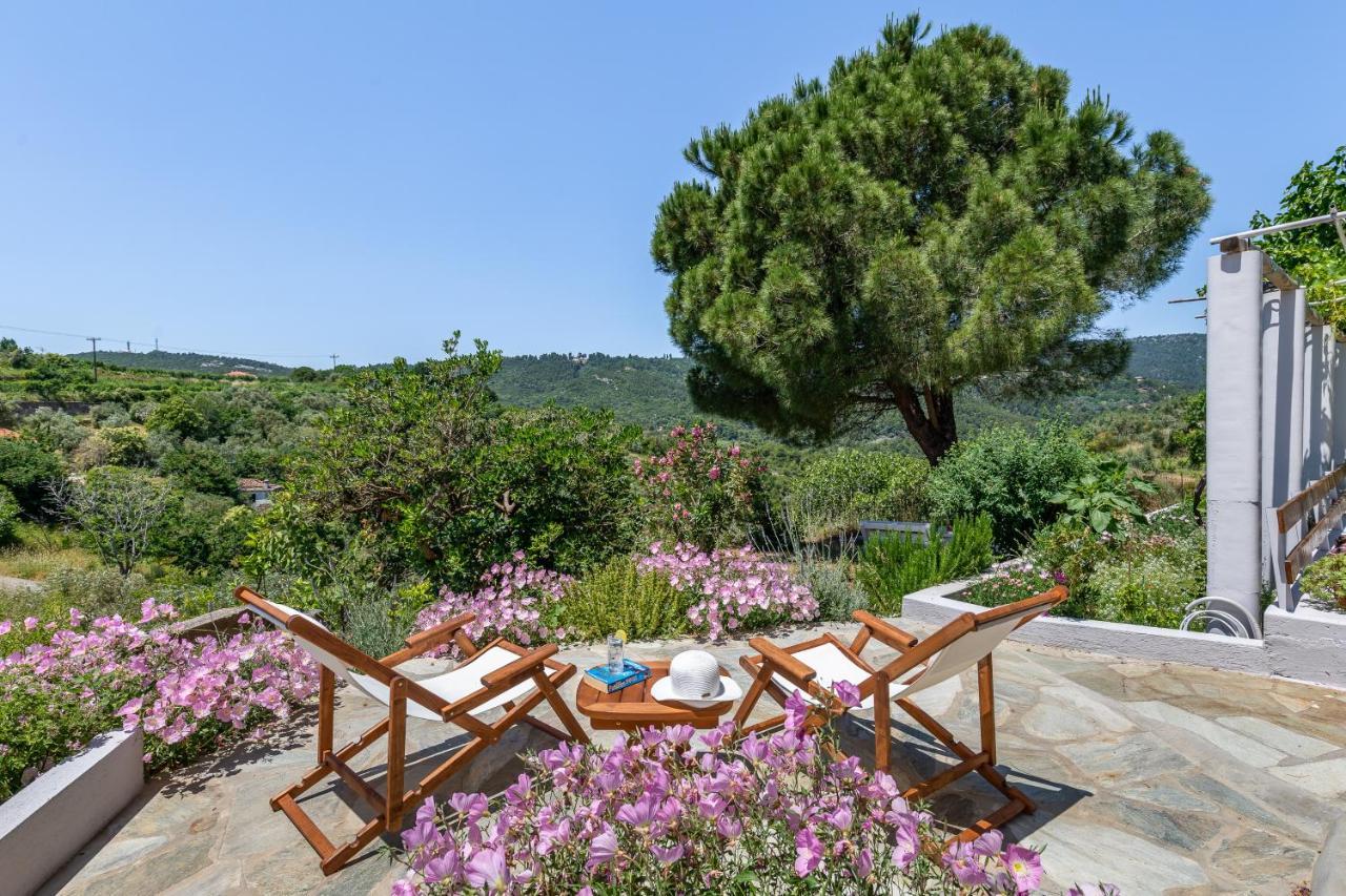 Villa Ambeli Skopelos Town Exterior photo